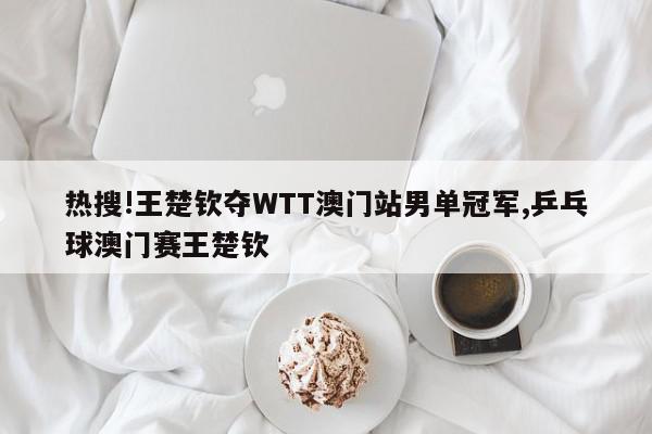 热搜!王楚钦夺WTT澳门站男单冠军,乒乓球澳门赛王楚钦